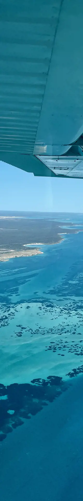Abrolhos Island – exotische Tierwelt